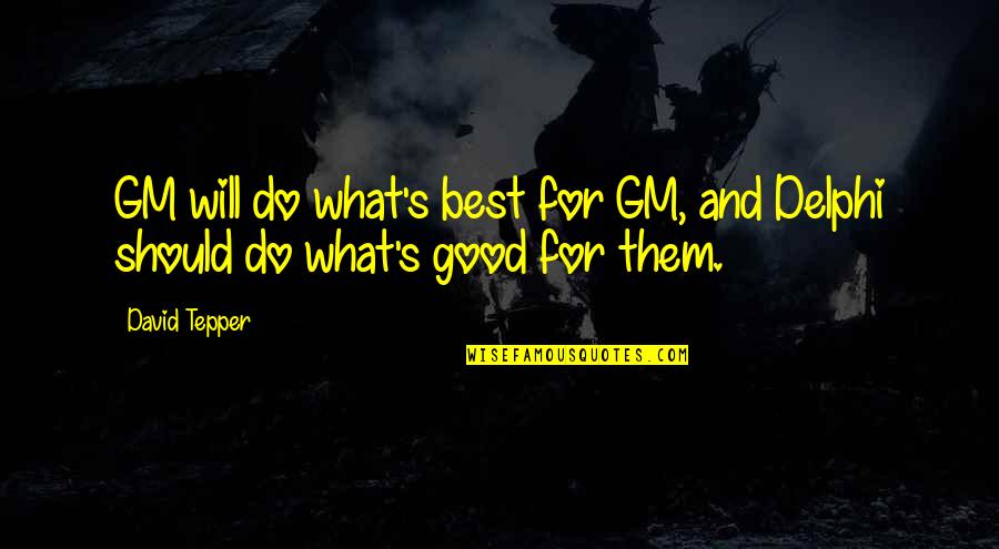 Sky Smile Quotes By David Tepper: GM will do what's best for GM, and