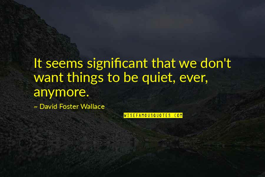 Skycamp Quotes By David Foster Wallace: It seems significant that we don't want things