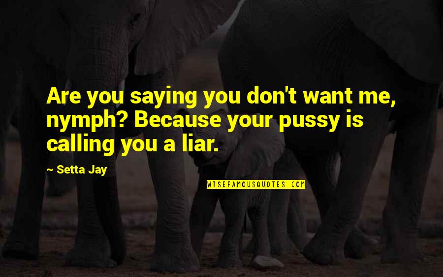Skylah Logan Quotes By Setta Jay: Are you saying you don't want me, nymph?