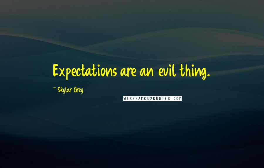 Skylar Grey quotes: Expectations are an evil thing.