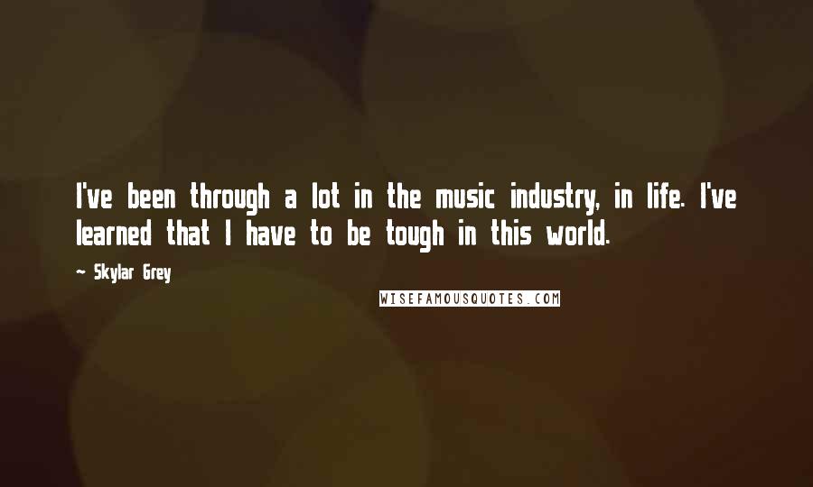 Skylar Grey quotes: I've been through a lot in the music industry, in life. I've learned that I have to be tough in this world.