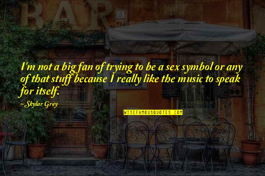 Skylar's Quotes By Skylar Grey: I'm not a big fan of trying to