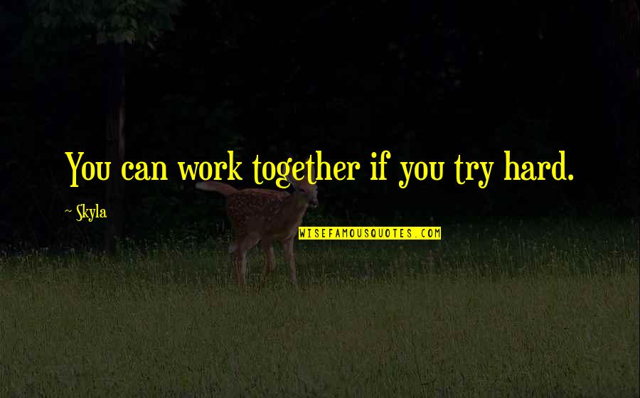Skyla's Quotes By Skyla: You can work together if you try hard.