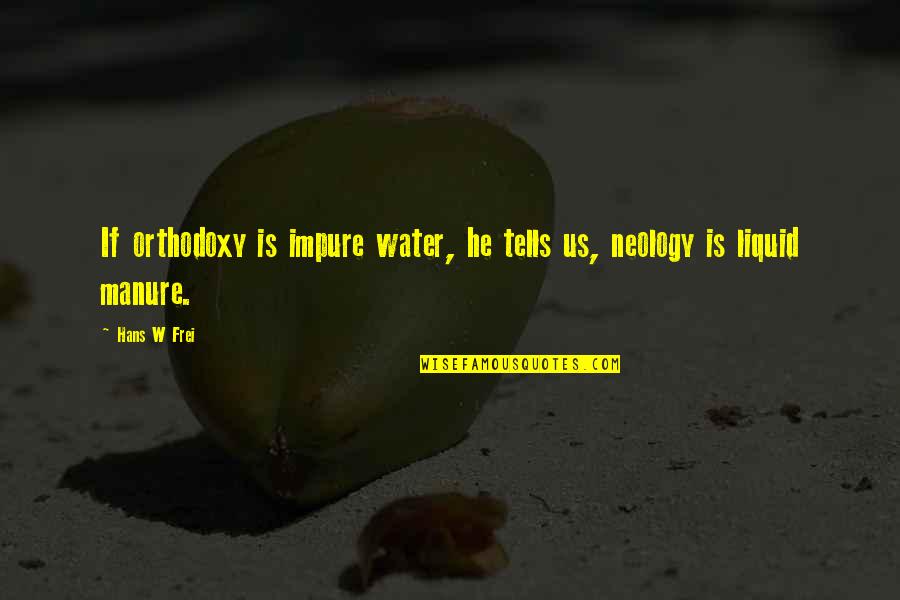 Skyping Tires Quotes By Hans W Frei: If orthodoxy is impure water, he tells us,