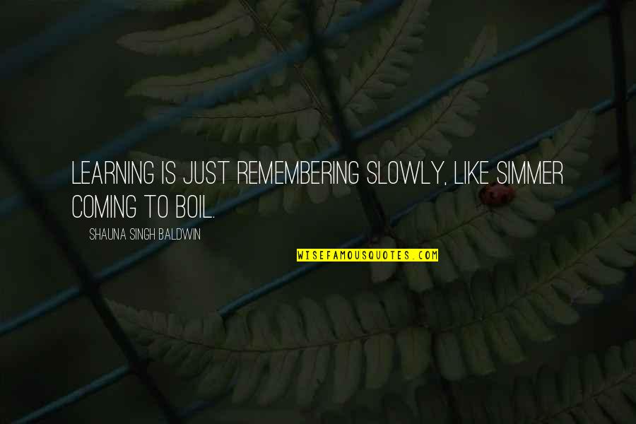 Skyrim Shopkeeper Quotes By Shauna Singh Baldwin: Learning is just remembering slowly, like simmer coming Skyrim Shopkeeper Quotes By Shauna Singh Baldwin: Learning is just remembering slowly, like simmer coming