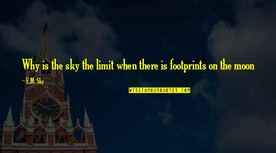 Sky's My Limit Quotes By E.M. Sky: Why is the sky the limit when there