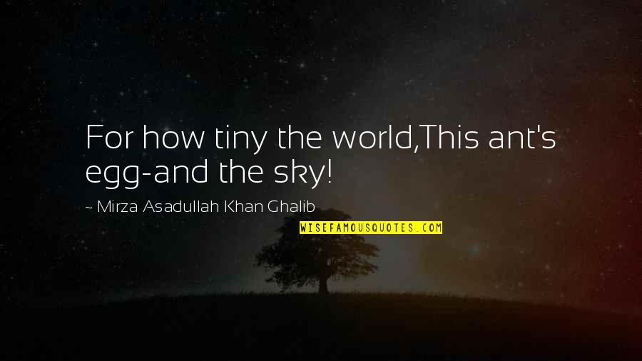 Sky's Quotes By Mirza Asadullah Khan Ghalib: For how tiny the world,This ant's egg-and the