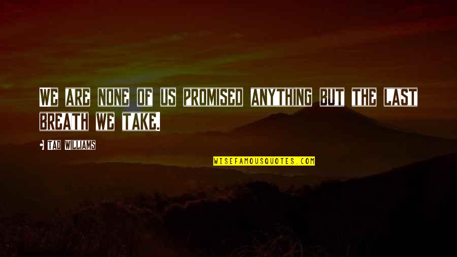 Skysurfing Wikipedia Quotes By Tad Williams: We are none of us promised anything but