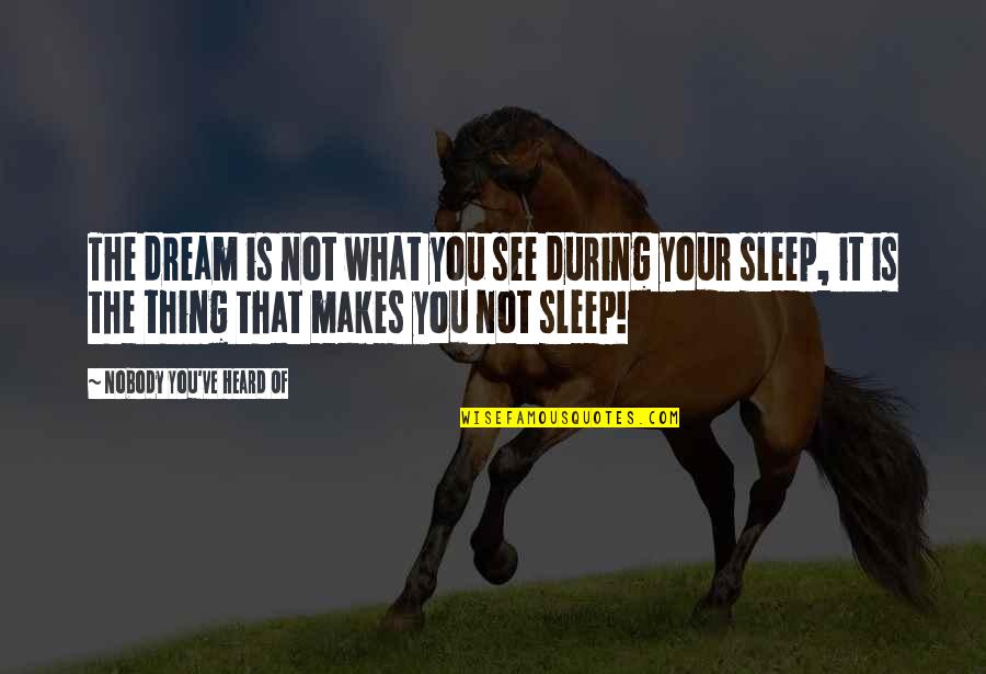 Slaine Macroth Quotes By Nobody You've Heard Of: The dream is not what you see during Slaine Macroth Quotes By Nobody You've Heard Of: The dream is not what you see during