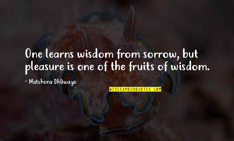 Slammerkin Novel Quotes By Matshona Dhliwayo: One learns wisdom from sorrow, but pleasure is