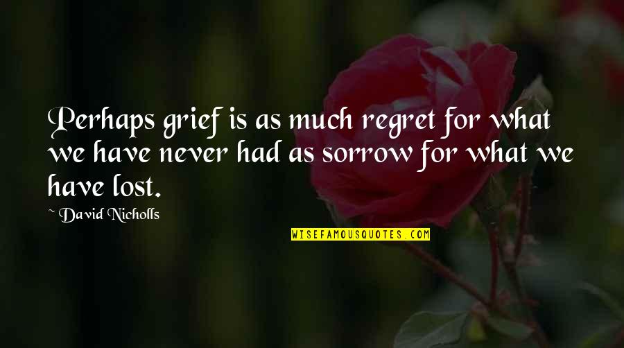Slankos Quotes By David Nicholls: Perhaps grief is as much regret for what
