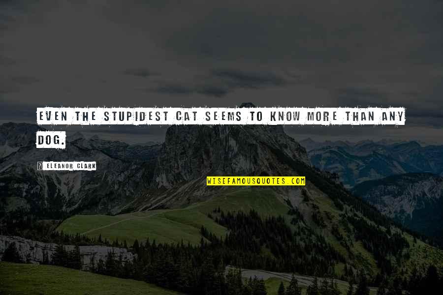 Slanting Quotes By Eleanor Clark: Even the stupidest cat seems to know more