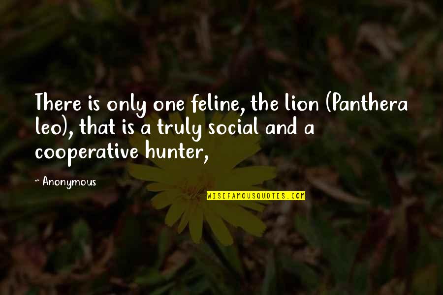 Slantways Quotes By Anonymous: There is only one feline, the lion (Panthera