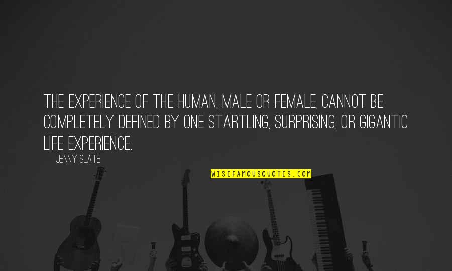 Slate Quotes By Jenny Slate: The experience of the human, male or female,