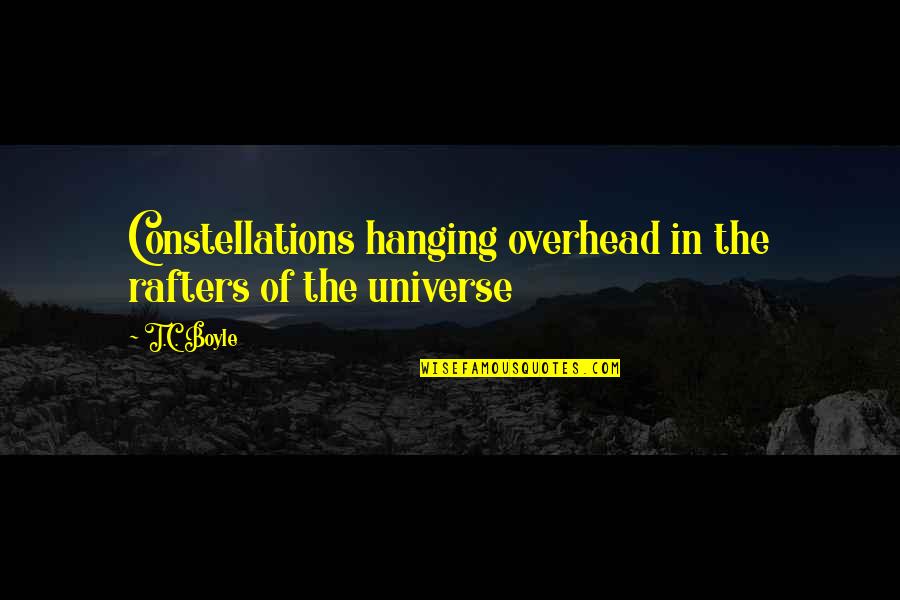 Slaughtering Cattle Quotes By T.C. Boyle: Constellations hanging overhead in the rafters of the