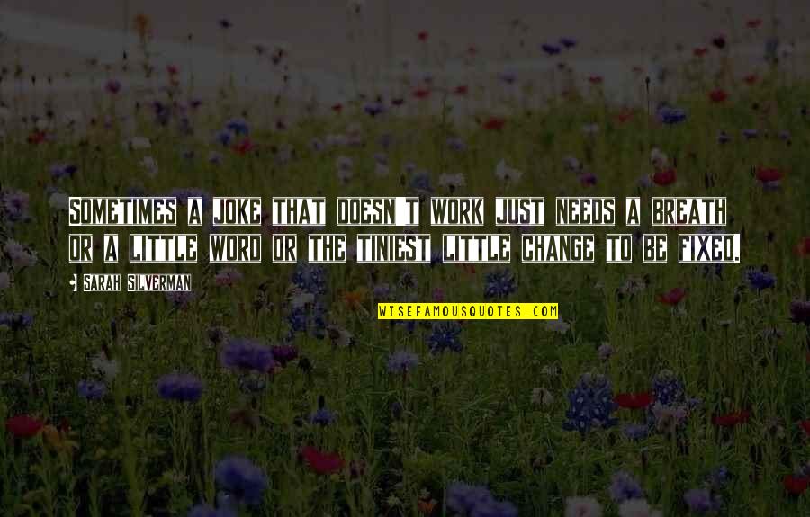 Slavcho Donchev Quotes By Sarah Silverman: Sometimes a joke that doesn't work just needs