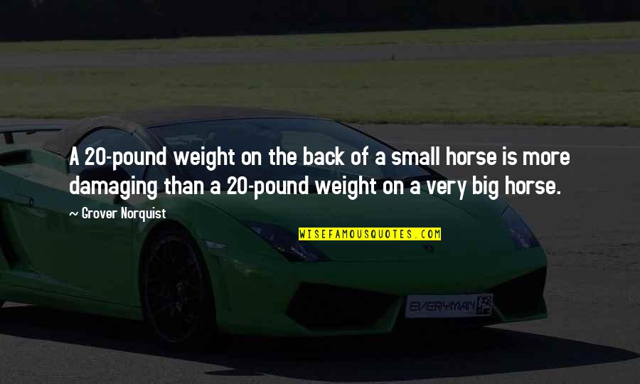 Slave Punishment Quotes By Grover Norquist: A 20-pound weight on the back of a