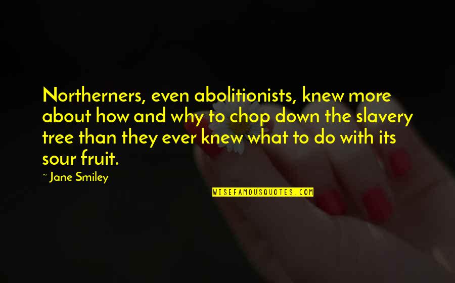 Slavery From Abolitionists Quotes By Jane Smiley: Northerners, even abolitionists, knew more about how and