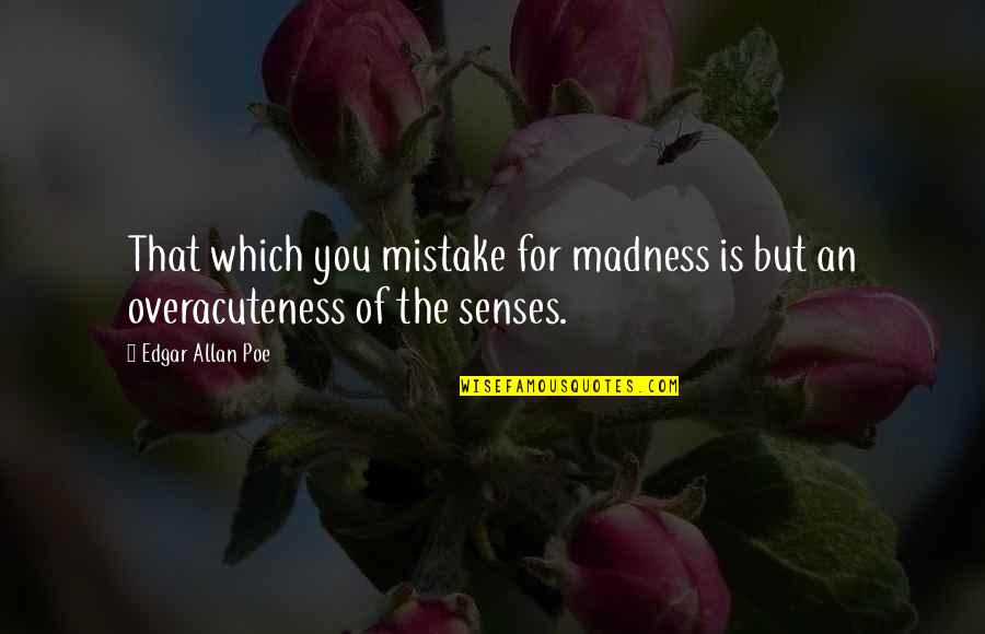 Slavery In Adventures Of Huckleberry Finn Quotes By Edgar Allan Poe: That which you mistake for madness is but
