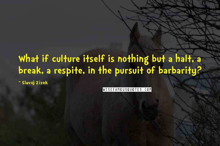 Slavoj Zizek quotes: What if culture itself is nothing but a halt, a break, a respite, in the pursuit of barbarity?