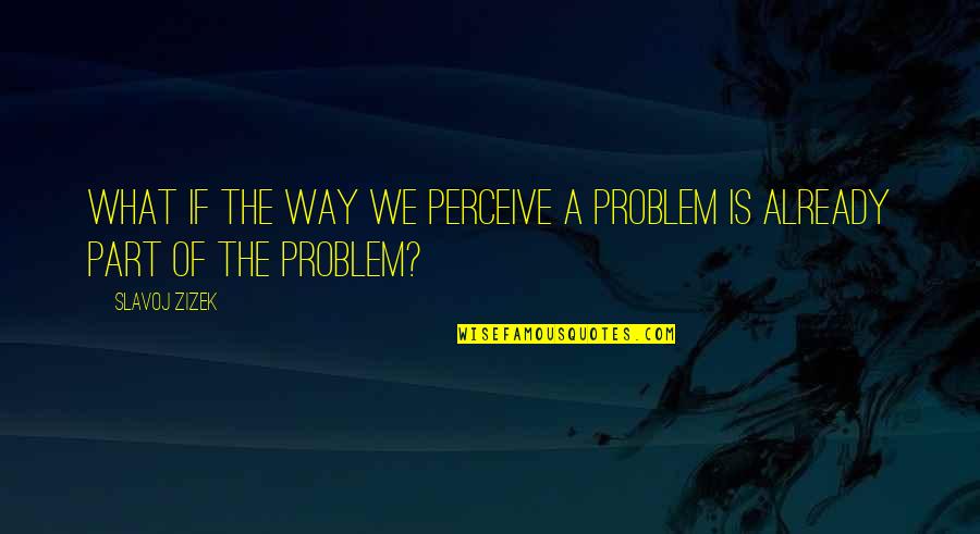 Slavoj Zizek Quotes By Slavoj Zizek: What if the way we perceive a problem
