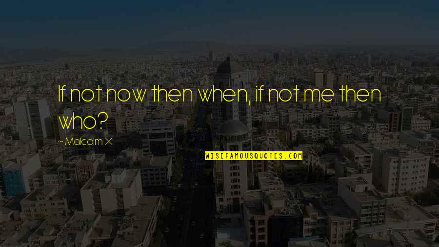 Slavoljub Srnic Quotes By Malcolm X: If not now then when, if not me Slavoljub Srnic Quotes By Malcolm X: If not now then when, if not me
