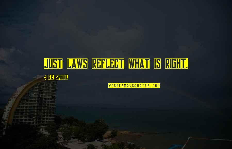 Slavoljub Stefanovic Quotes By R.C. Sproul: Just laws reflect what is right. Slavoljub Stefanovic Quotes By R.C. Sproul: Just laws reflect what is right.