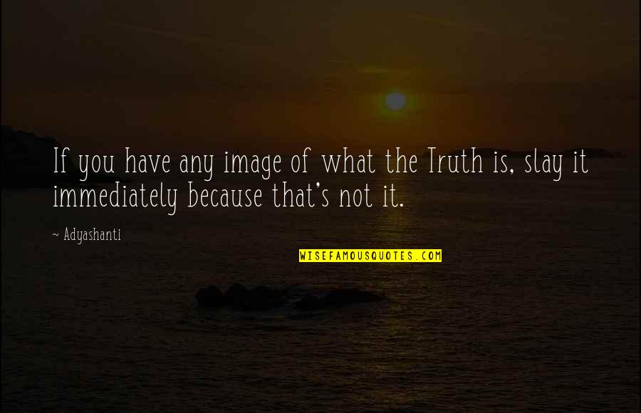 Slay Quotes By Adyashanti: If you have any image of what the