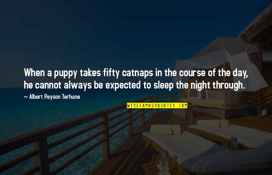 Sleep All Day Quotes By Albert Payson Terhune: When a puppy takes fifty catnaps in the