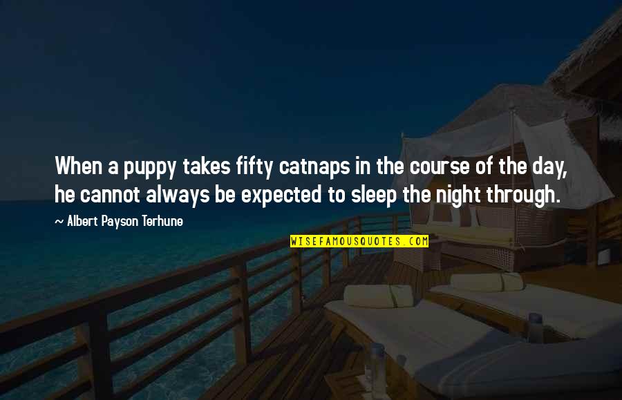 Sleep All Day Quotes By Albert Payson Terhune: When a puppy takes fifty catnaps in the Sleep All Day Quotes By Albert Payson Terhune: When a puppy takes fifty catnaps in the