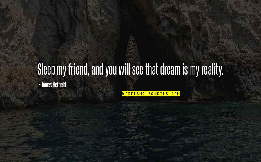 Sleep And Dream Quotes By James Hetfield: Sleep my friend, and you will see that
