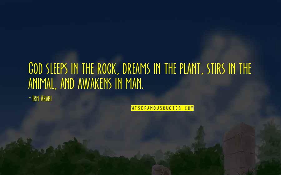 Sleep And Dreams Quotes By Ibn Arabi: God sleeps in the rock, dreams in the