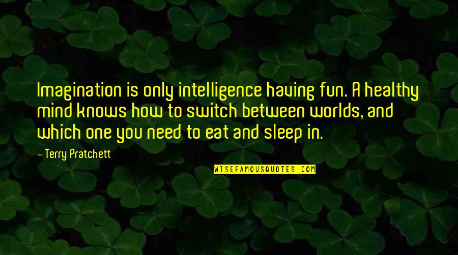 Sleep And Eat Quotes By Terry Pratchett: Imagination is only intelligence having fun. A healthy