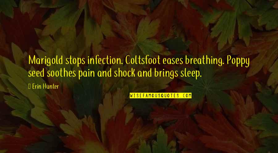 Sleep And Pain Quotes By Erin Hunter: Marigold stops infection. Coltsfoot eases breathing. Poppy seed