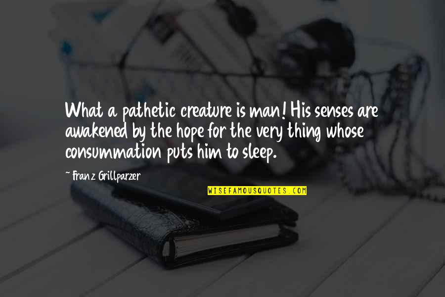 Sleep And Success Quotes By Franz Grillparzer: What a pathetic creature is man! His senses