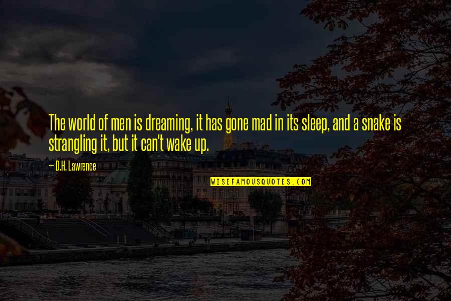 Sleep And Wake Up Quotes By D.H. Lawrence: The world of men is dreaming, it has