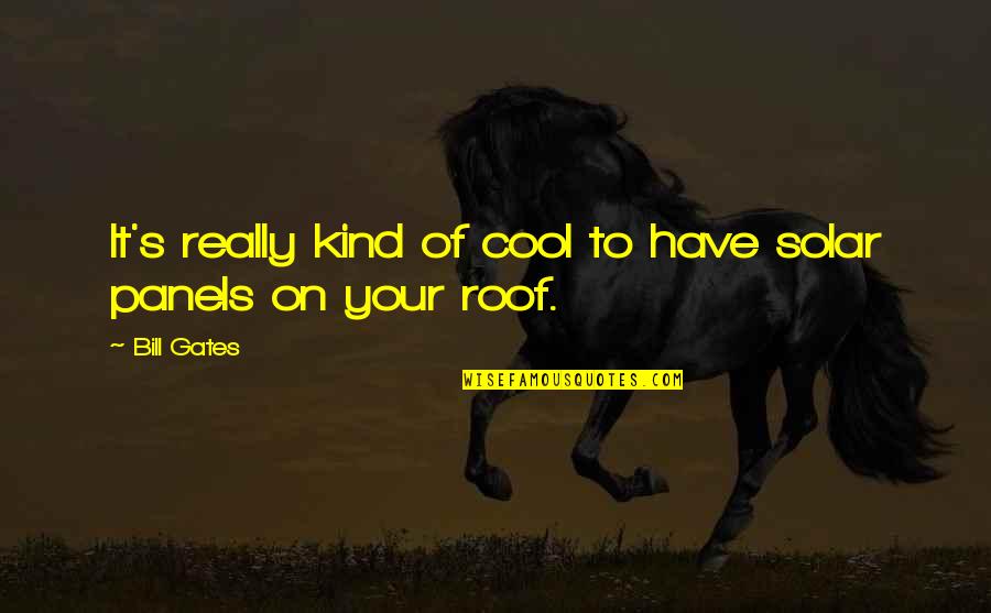 Sleep In The Awakening Quotes By Bill Gates: It's really kind of cool to have solar