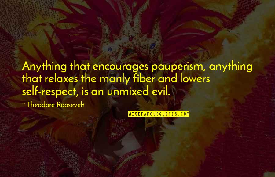 Sleep In The Awakening Quotes By Theodore Roosevelt: Anything that encourages pauperism, anything that relaxes the Sleep In The Awakening Quotes By Theodore Roosevelt: Anything that encourages pauperism, anything that relaxes the