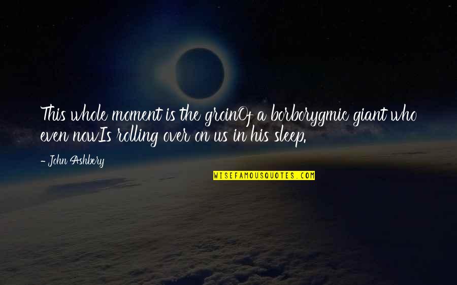 Sleep Inspirational Quotes By John Ashbery: This whole moment is the groinOf a borborygmic