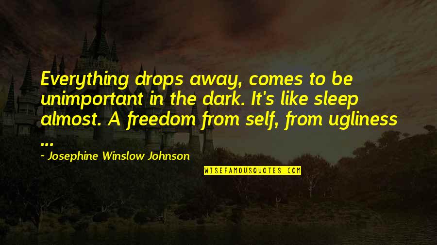 Sleep It Away Quotes By Josephine Winslow Johnson: Everything drops away, comes to be unimportant in Sleep It Away Quotes By Josephine Winslow Johnson: Everything drops away, comes to be unimportant in