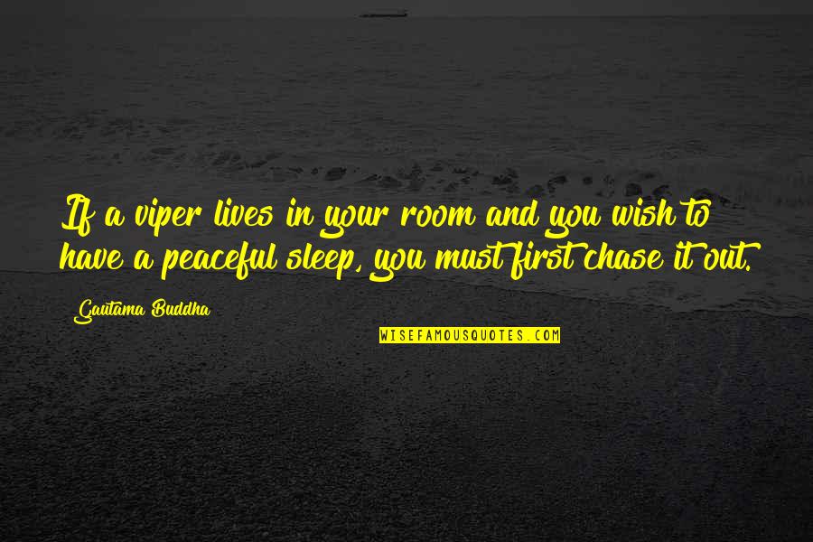 Sleep Peace Quotes By Gautama Buddha: If a viper lives in your room and