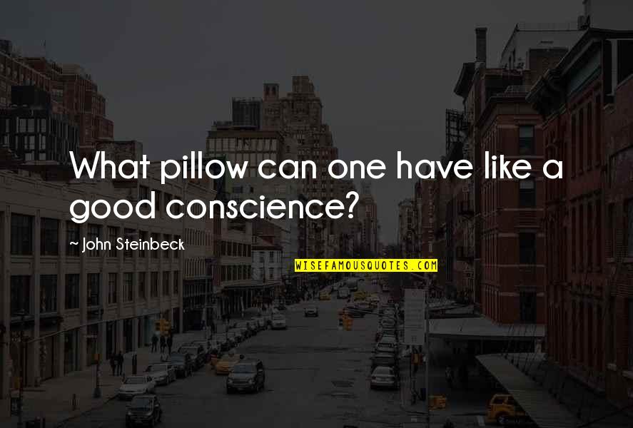 Sleep Pillow Quotes By John Steinbeck: What pillow can one have like a good