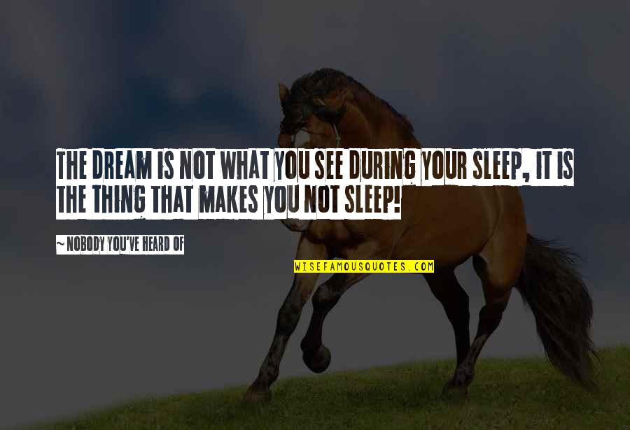 Sleep See Quotes By Nobody You've Heard Of: The dream is not what you see during