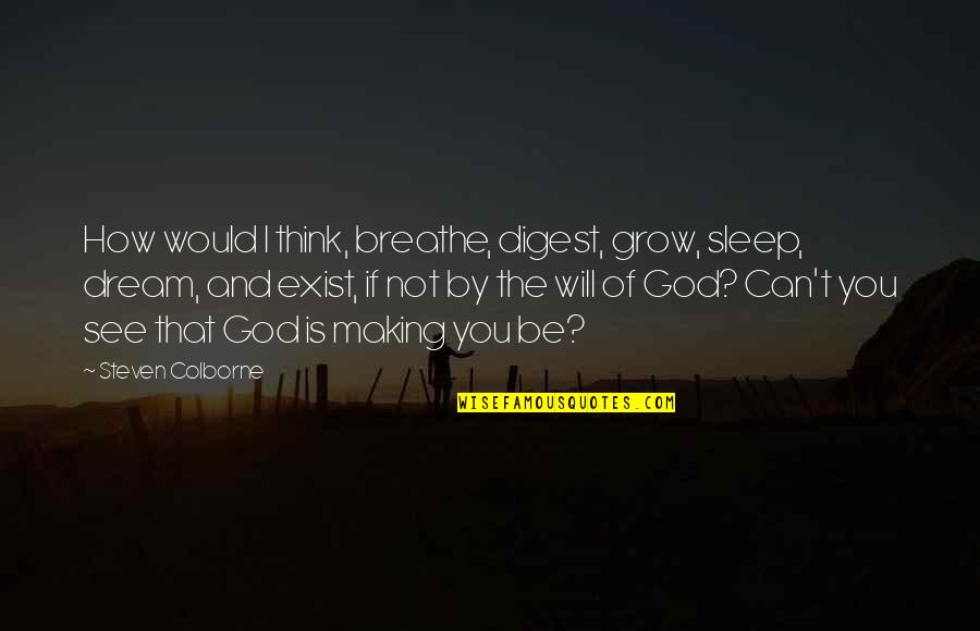 Sleep See Quotes By Steven Colborne: How would I think, breathe, digest, grow, sleep,