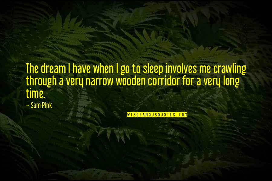 Sleep Time Quotes By Sam Pink: The dream I have when I go to