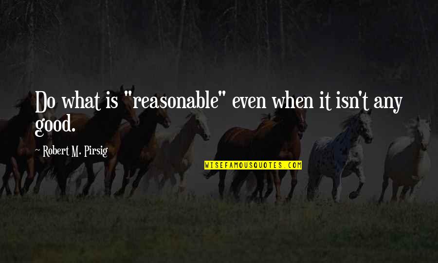 Sleep Well Funny Quotes By Robert M. Pirsig: Do what is "reasonable" even when it isn't