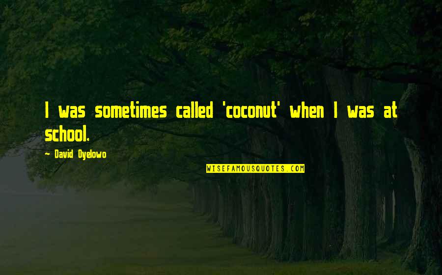 Sleepes Quotes By David Oyelowo: I was sometimes called 'coconut' when I was