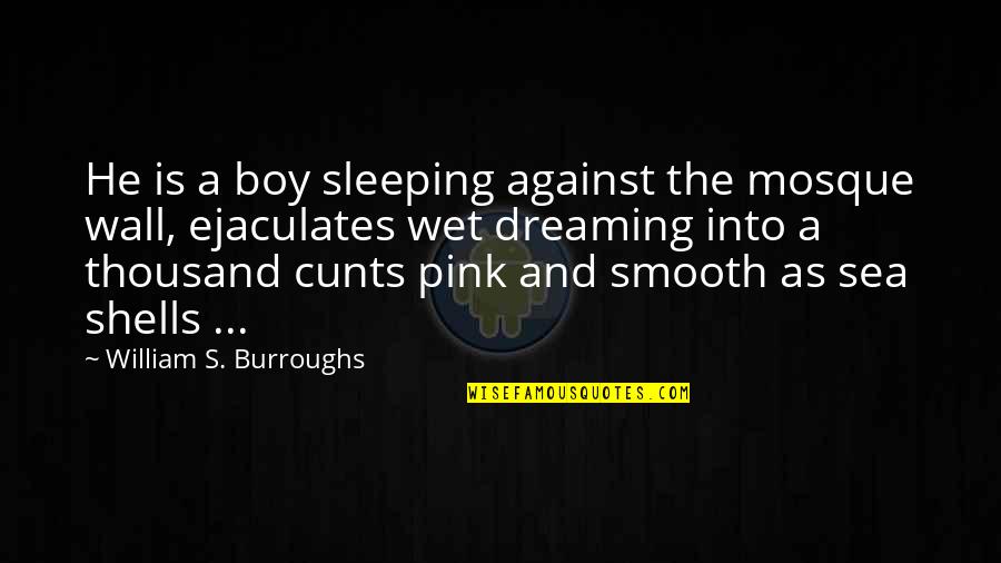 Sleeping And Dreaming Quotes By William S. Burroughs: He is a boy sleeping against the mosque