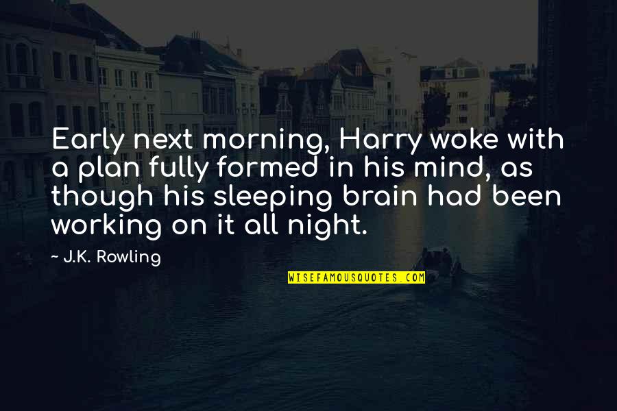 Sleeping Early Quotes By J.K. Rowling: Early next morning, Harry woke with a plan