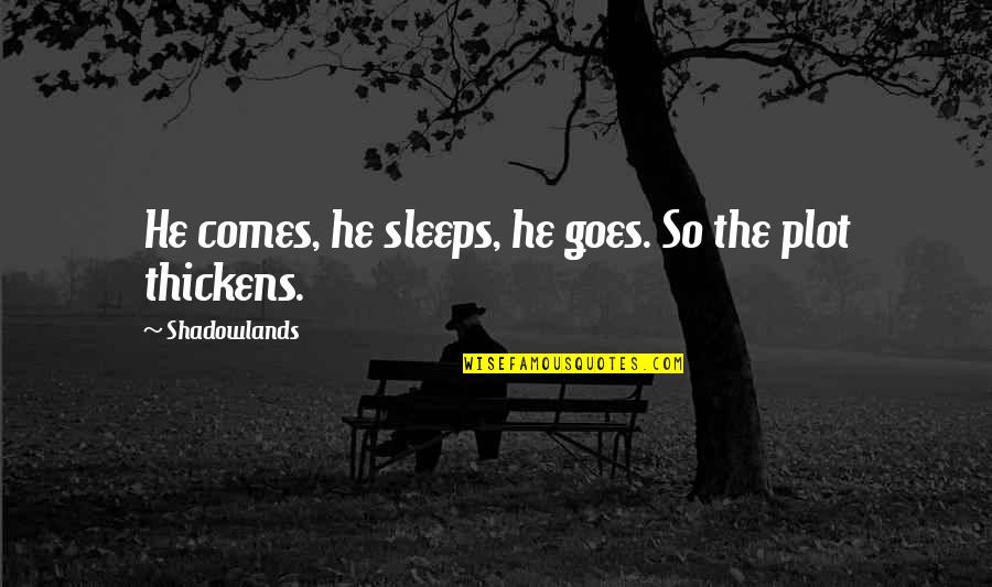 Sleeping Gods Quotes By Shadowlands: He comes, he sleeps, he goes. So the